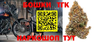 трава Сланцы