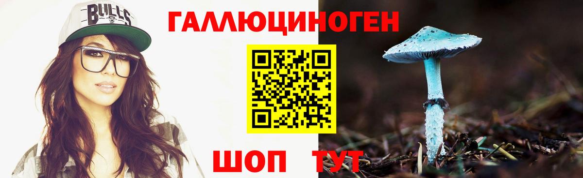 Псилоцибиновые грибы прущие грибы Норильск